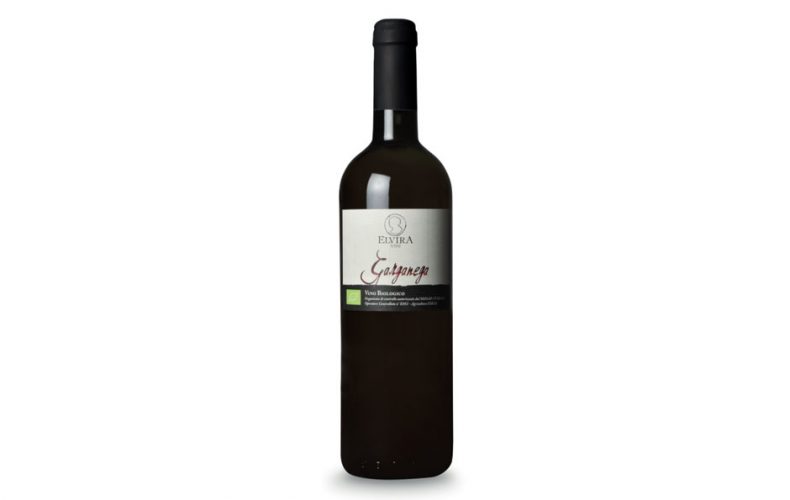 Garganega